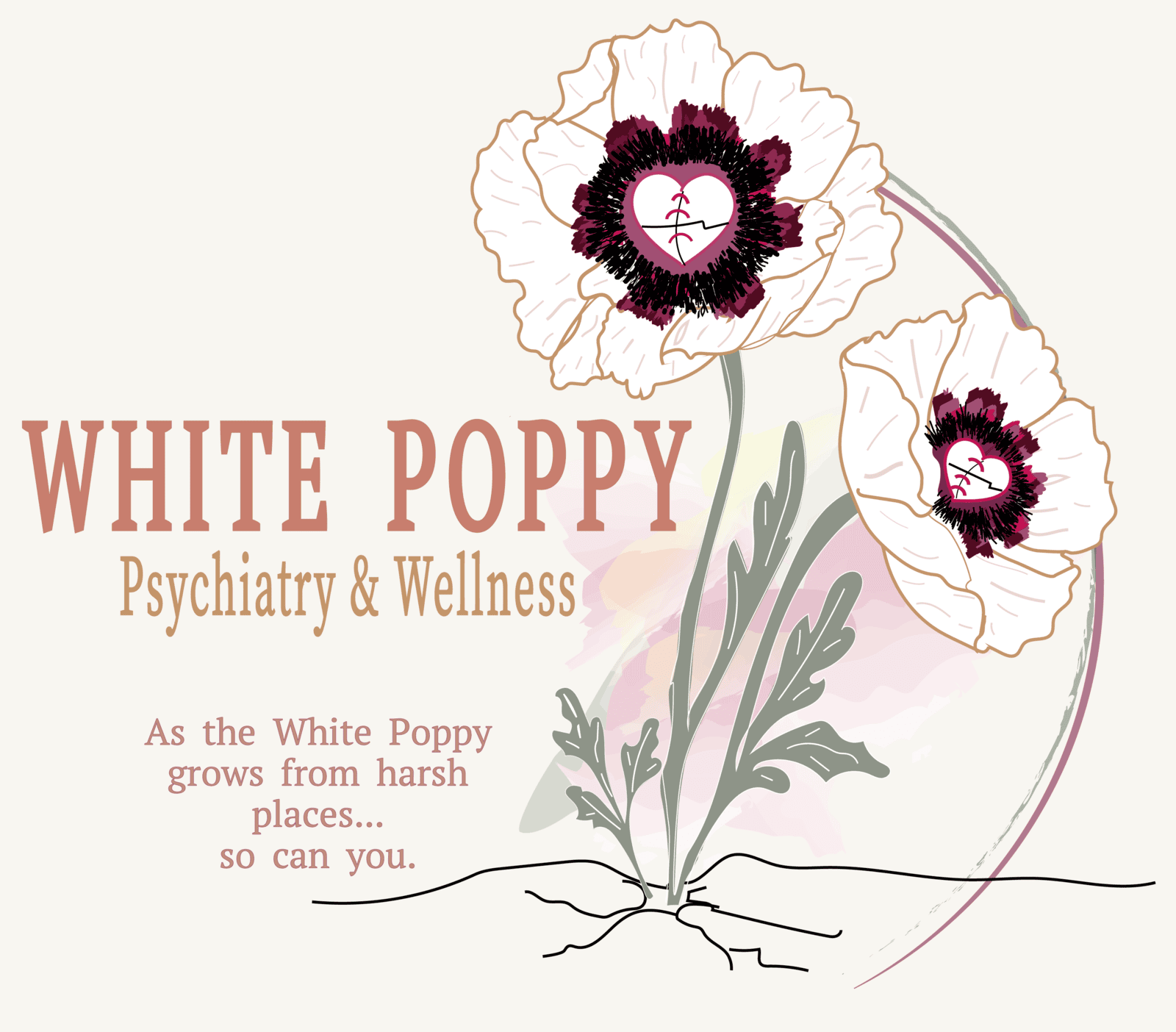 Not Just a Website: The White Poppy Partnership
