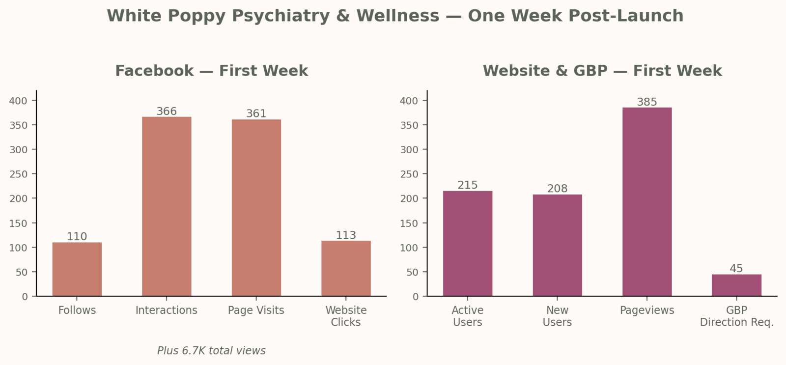 Analytics for Facebook, Website and GBP